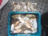 쭈갑조황 글만 보기