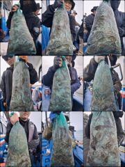 먹물 글만 보기
