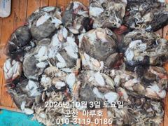 ☆ 10월3일 마루호 갑오징어 최종조항~ ☆