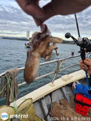 왕~쭈 실시간~