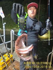 [진해] 문어 내만 문어 초보도 반 피딩 1.5kg 최고 18수 15수 …
