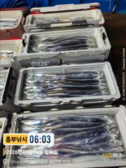 4일 입항 만쿨 대만쿨 가을갈치 입성