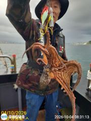 10-4(실시간)K급 돌문어~월오후 자리널널함