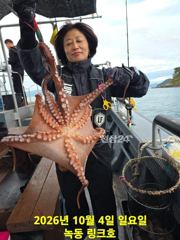 10/4일 주간 문어 조황입니다