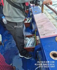 씨스타호 4일 오후 타임 바글바글