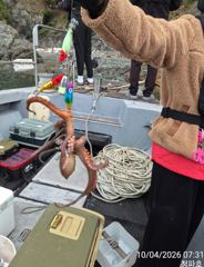 [진해] 돌문어 )) 키로급씨알~~@@ 내일 1자리 @@