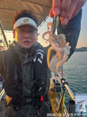 실시간 5일 쭈꾸미 조황.