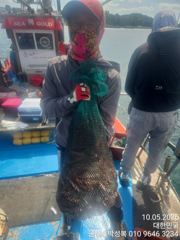 묵직한 문어로 냉동고 채우세요 한마리 한마리가 묵직 묵직합니다
