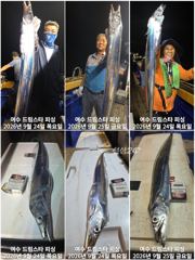 (여수 드림스타)왕갈치사냥나갑니다. 10일토요일 4자리여유