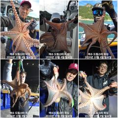 (여수 드림스타)돌문어사냥 나갑니다. 요즘 씨알좋아요!