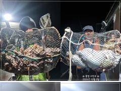 1   [통영] 야간문어 망태기 쫙~ 오늘 17시 1