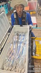 통영구디호 갈치 낚시 수목 금토 자리여유