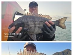 [거제] 어초ㆍ여밭감성돔 47.46이하 연일 4짜4짜4짜4짜들~