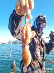 [사천] 6일 왕쭈꾸미 장원 부부조사님 합산257수 조항 좋아좋아 따봉 …