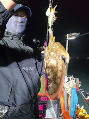 목포신세계피싱 야간갑오징어 잘나옵니다
