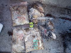 26년10월6일 조황