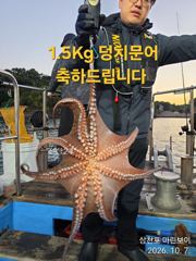 삼천포 마린보이 10. 7. 수요일 부터 주간/야간문어 뜯으로 출항합니다.