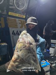 삼천포 주꾸미,문어조황! 주간반 야간반 매일출조!