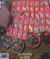 [통영] (원도권)무늬 구덩이 씨알 끝장 110수 퍼 담고~뉴그린호(오늘…