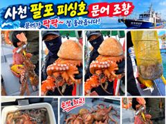 [사천] 삼천포 팔포피싱호 문어 출조 하실분 예약받습니다