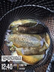 [팁런]k,k, 완전무시급들 (목,금,좋은날씨,자리널널)