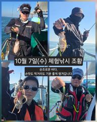 [피닉스피싱호] 10월 7일(수) 체험낚시 조황 - 순조로운 바다, 손맛도 먹거리도 기분 좋게 챙겨갑니다
