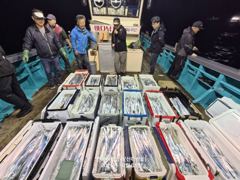 [진해] 신아라호 준내만 갈치텐빈 살오른 갈치잡으러 갑니다
