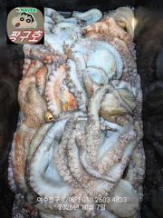 여수 짱구호 10월7일(수) 문어 7일차 대박 조황