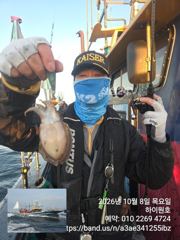 8일, 군산은 지금 갑오징어 천국~대박시즌 ~오늘도 따끈따끈한(?) 갑돌이들~실시간 ~군산낚시프라자 하이원호