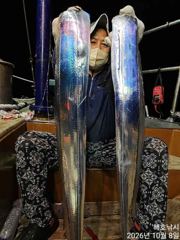 [여수,광양] [여수해호낚시] 대갈치대삼치로 쿨러가득(오늘 자리여유 있습니다.…