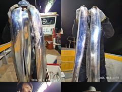 진도 << 일오삼호 >> 왕갈치 조황입니다. << 이번주 자리여유 많이 있습니다. >>