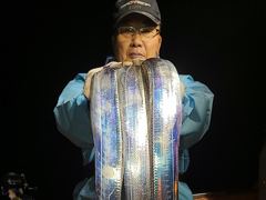 [통영] 통영비너스.....대갈치 시즌 돌입 . . . 대치 초저녁 새…