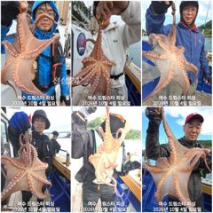 (여수 드림스타)다음 황금물때 돌문어사냥 나갑니다.