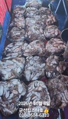 ■군산킹스타호(10/8)■ 갑오징어 굿~마무리조황 (계속해서 출조합니다: 예악가능 ~