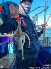 [사천] 8일 왕쭈꾸미 조항 장원126수 좋아좋아 따봉 ~11일 일욜(출…