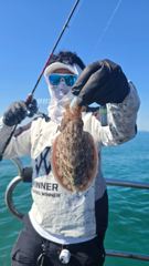 10월 8일 파티호 갑오징어