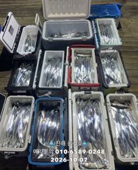 (풍산)내만갈치~어마어마~퍼담고~대박~(오늘,예약가능합니다)