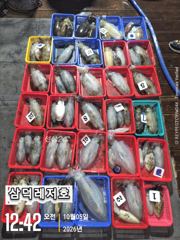 [팁런]k.k.무시급.마리수(오늘.출항 확정 자리널널)