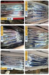 [거제] 14석 보성3호 갈치씨알굿 만만쿨 조황 ~~오늘 내일 자리여…