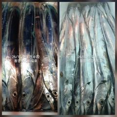 [통영최강리드호] 통영 갈치 제대로 붙었습니다! 대치 손맛에 한치 야식까지~토요일 자리여유