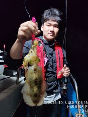[통영] 10.8 무늬무늬 씨알 급 막나오네요 오늘낭씨 굿 달립니다