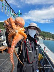 [사천] 문어