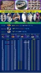 ♥붉바리조황 이정도는 잡아봐야지요 대박 조황입니다[2026년10월09일 ] ◎ 해마루호가 뜨는이유? 조황때문이죠 ◎ 핵심포인트: 바로진입.. 바로히트.. ◎ 차원이 다른 조황으로...