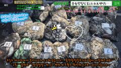 10월9일 홍원항힐링호 쭈반갑반^^ 조황~!쭈갑애들 괜찮네요ㅎㅎ장원7.6kg오바~ 2등7kg 전원 조과가 비슷비슷하네요^^수고들 많으셨습니다~ㅎㅎ