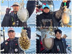 10월9일 군산 똥까호 갑오징어 조황정보... 오늘도 백갑↑↑ 8명