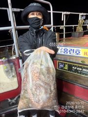 9일 야간 홈런호 문어 신나게 뜯고 철수