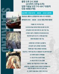 요즘 핫한 갈치 조황..갈치 풍년 입니다..풀치는 미끼용으로 써도 얼음없는 만쿨조황..내일부터 예약 가능하십니다