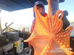 [진해] "돌문어"1600g1400g1200g1100g외 대물들 조황입니…