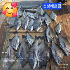 병산 감성돔47,46,45,4짜3짜외 마리수 선상배&선외기 &덴마조황~~