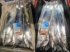 [10일입항] "내만갈치" 입문자들까지 일냈어요!! 만쿨~만쿨!! 빵빵하게 담았네요~ [일요일예약가능] 010-7660-2435